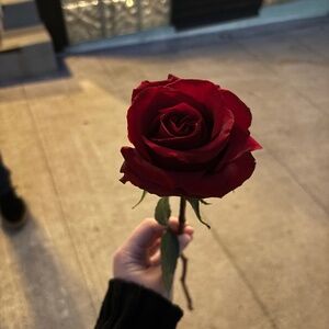 Meet your Posher, Shelby